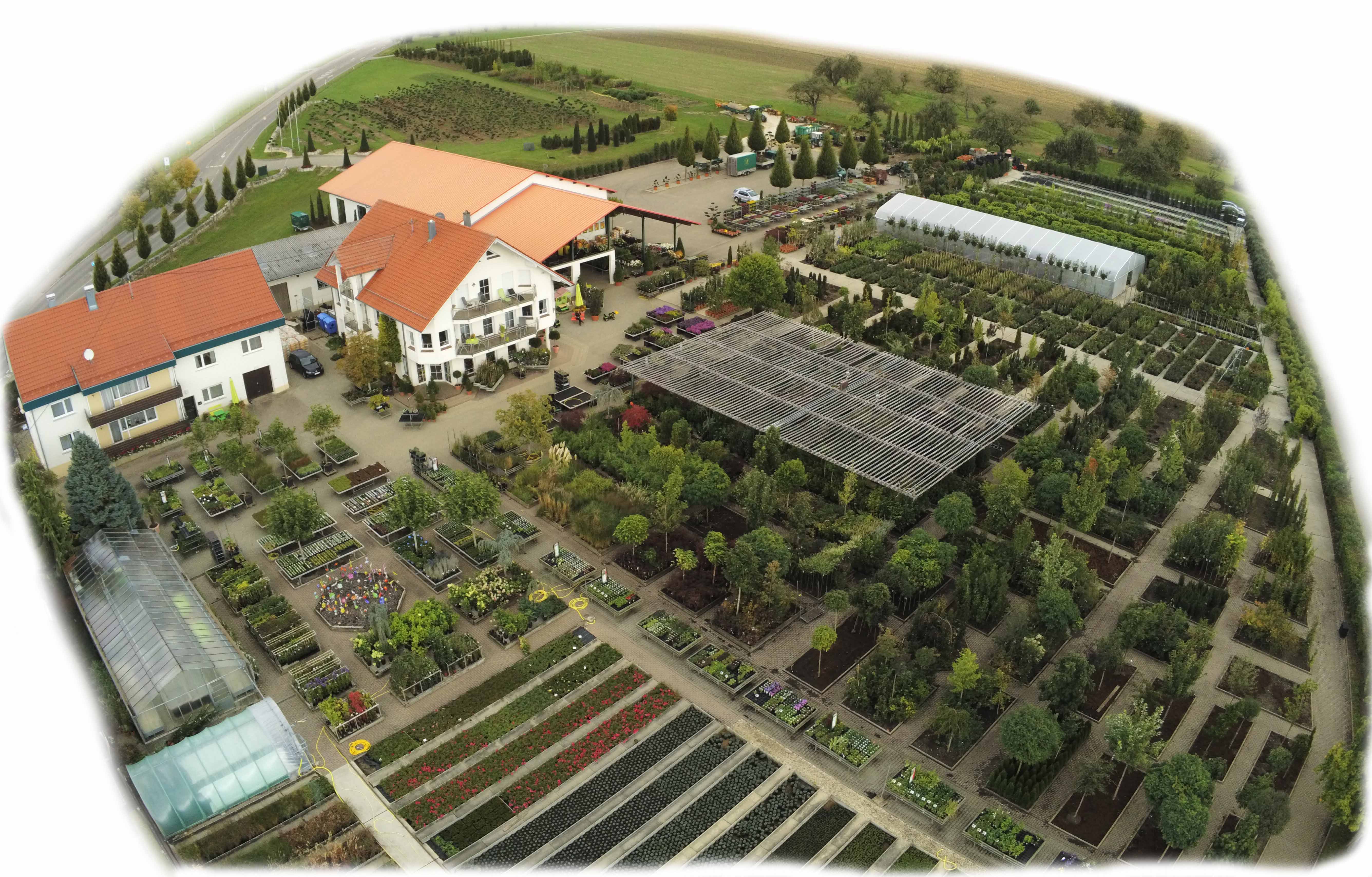 Herbst 2019 Herbst 2019